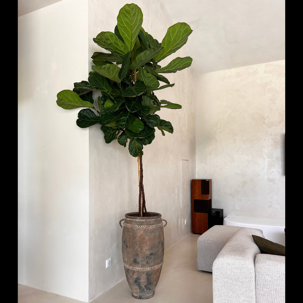 Jarre Kodong - finition antique