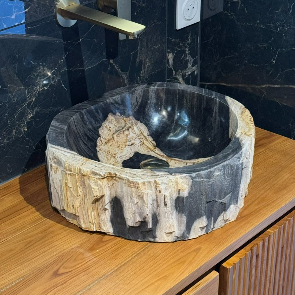 Vasque de salle de bain en bois fossilisé