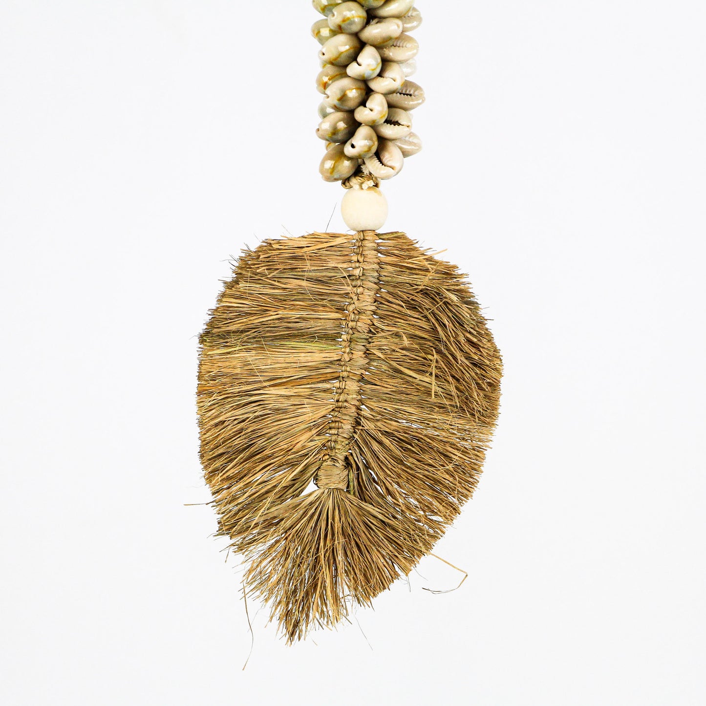 Pompon côtier - pampa