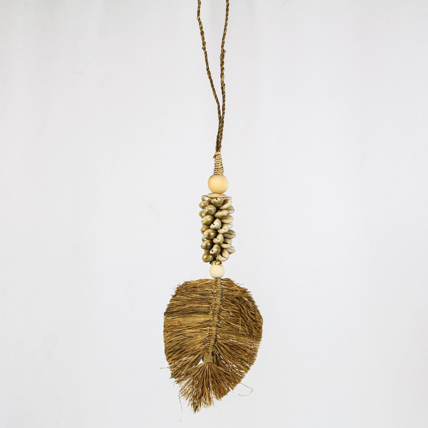 Pompon côtier - pampa