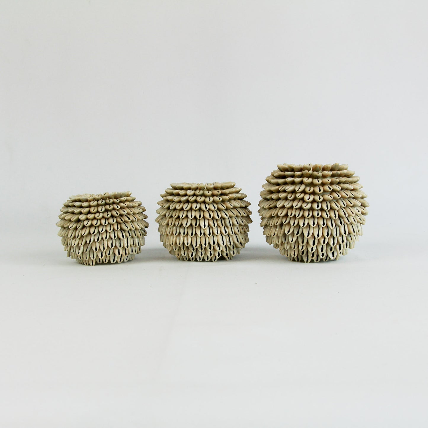 Bougeoir coquillages - foncé