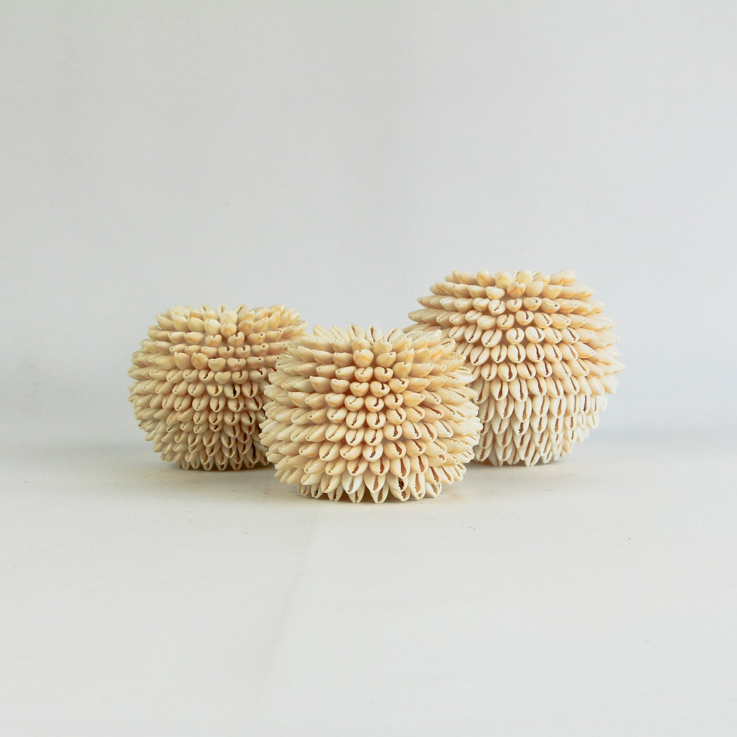 Bougeoir coquillages - clair