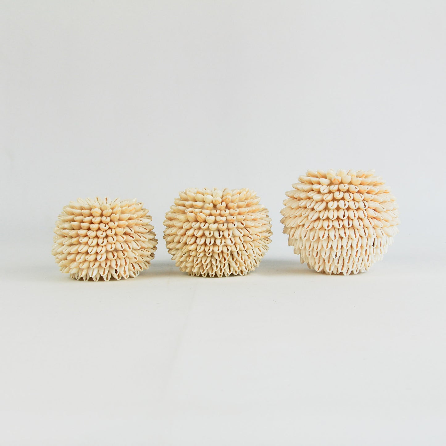 Bougeoir coquillages - clair