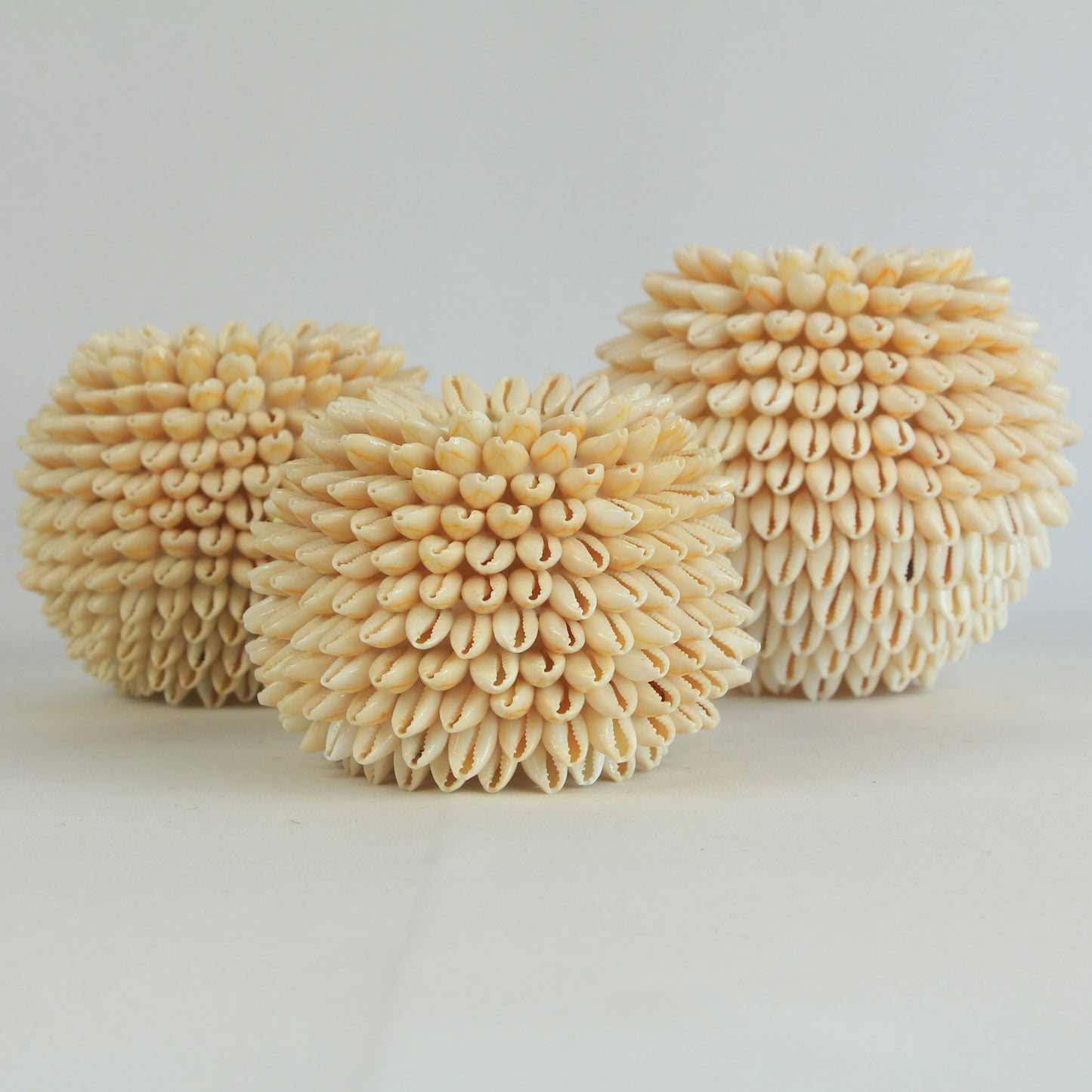 Bougeoir coquillages - clair