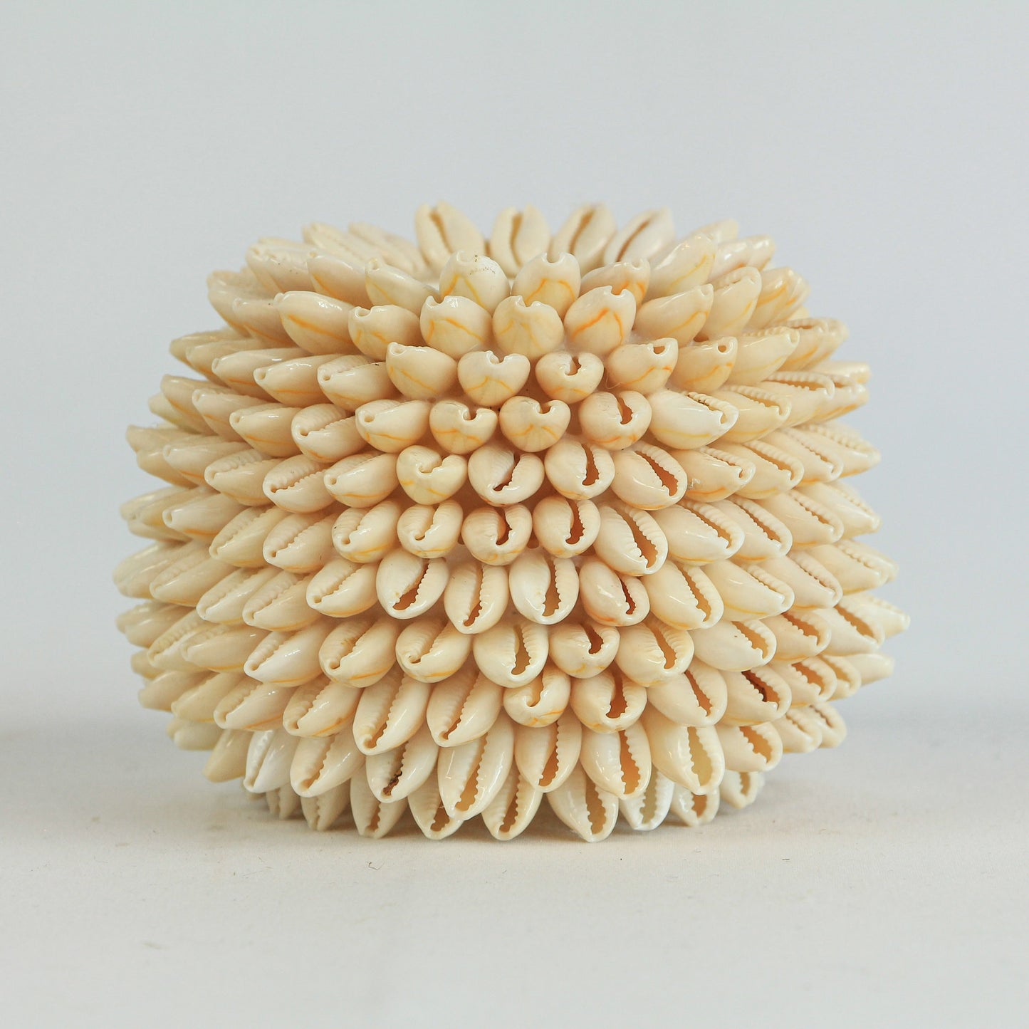 Bougeoir coquillages - clair