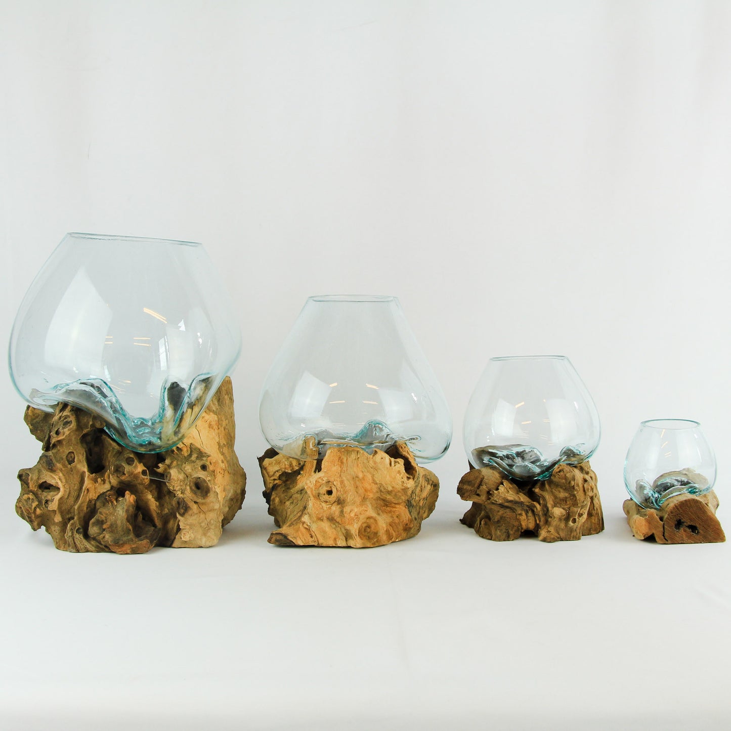 Vase glass roots en verre soufflé et racines de bois