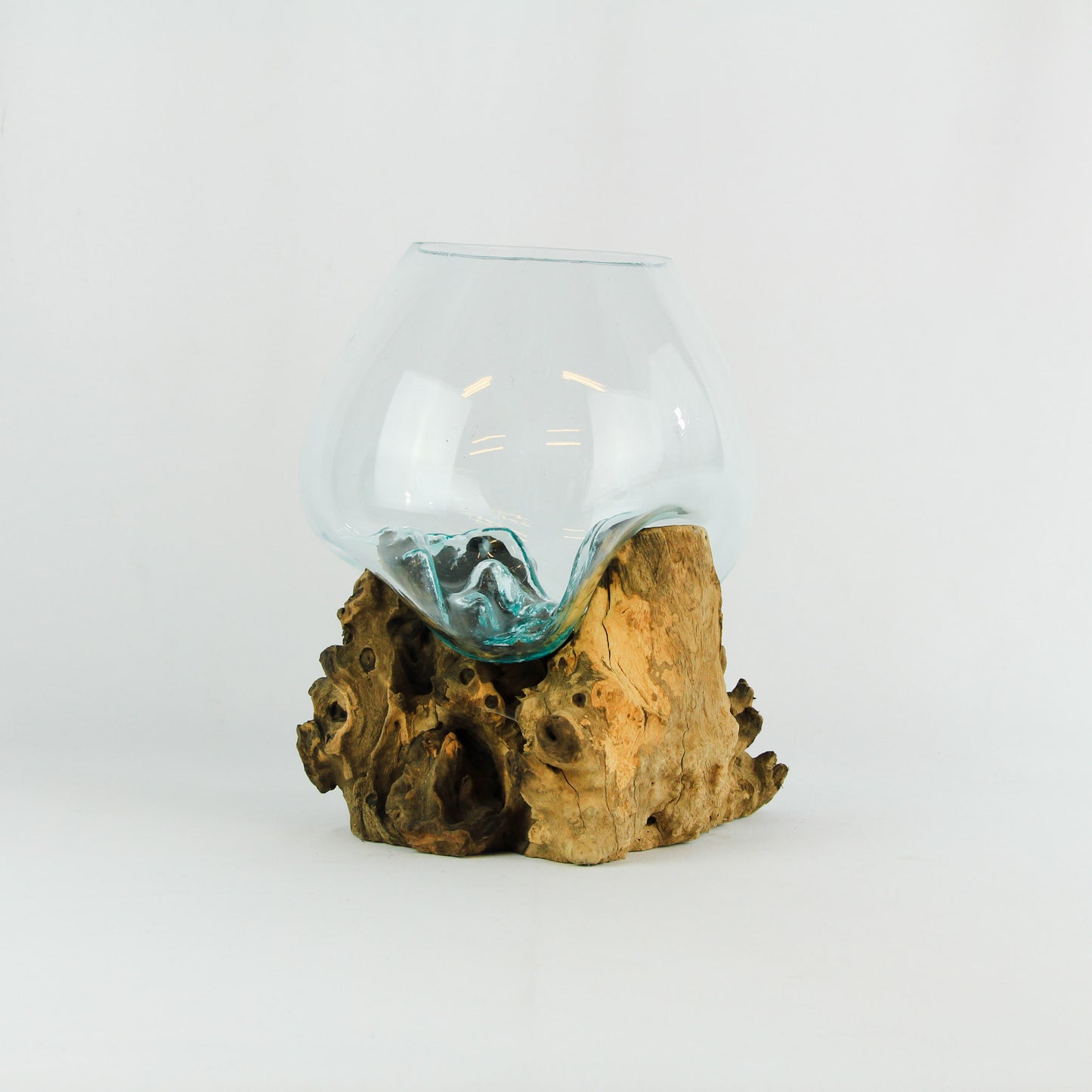 Vase glass roots en verre soufflé et racines de bois