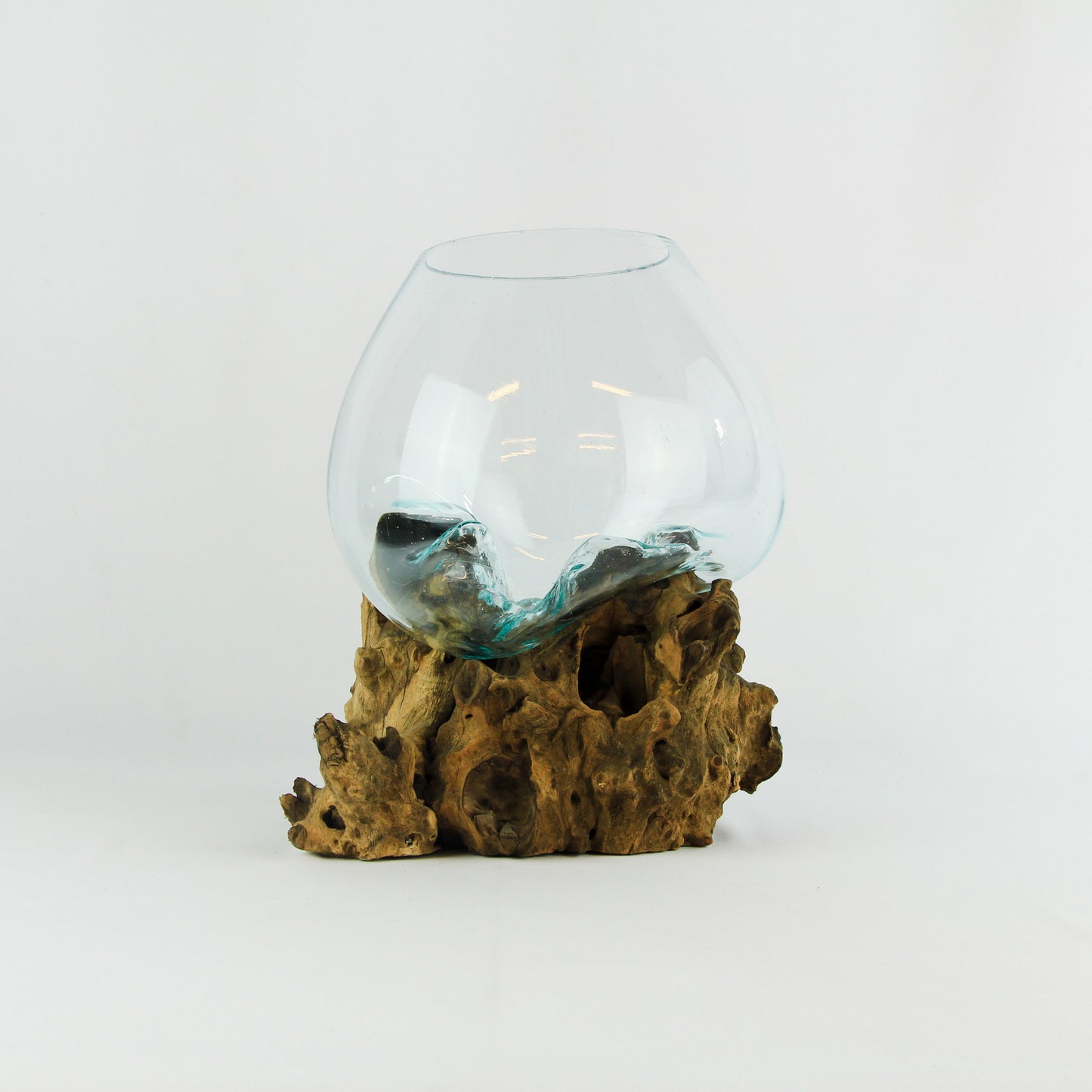 Vase glass roots en verre soufflé et racines de bois
