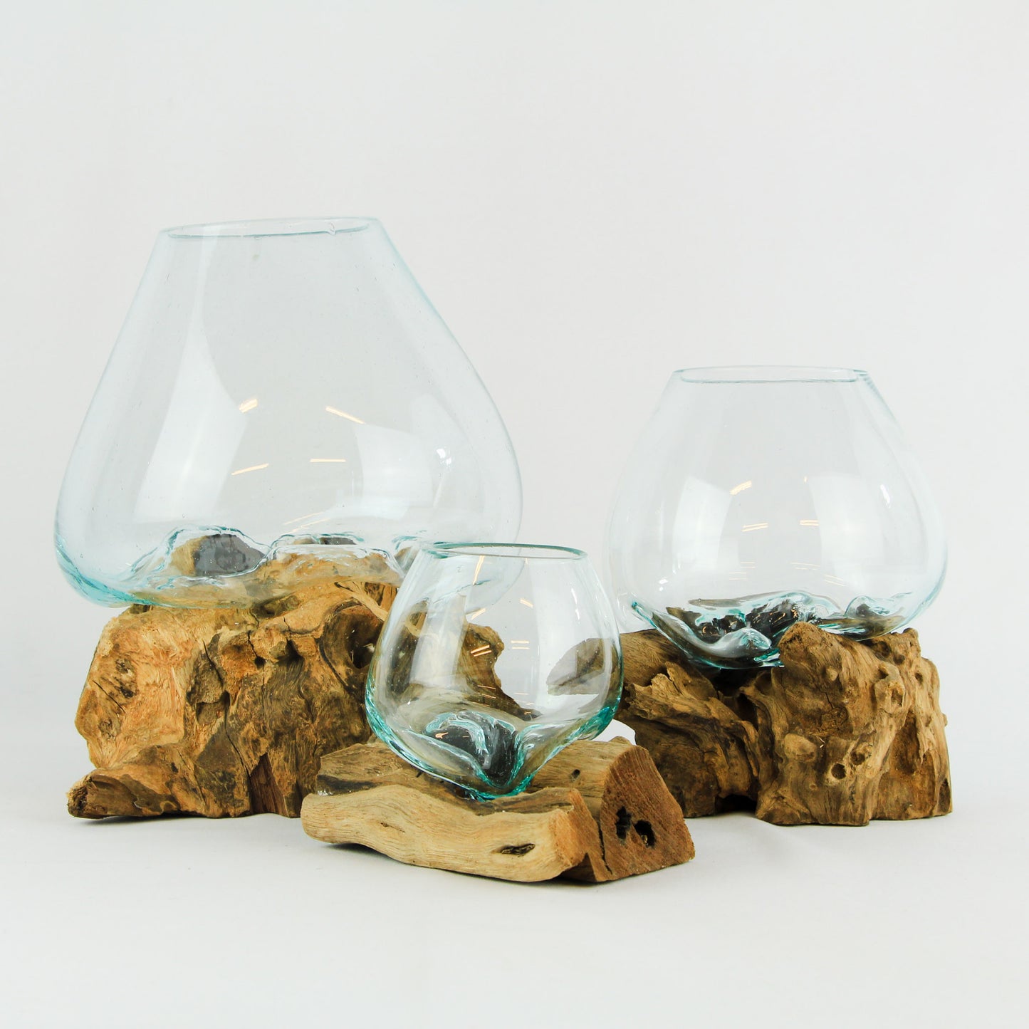 Vase glass roots en verre soufflé et racines de bois