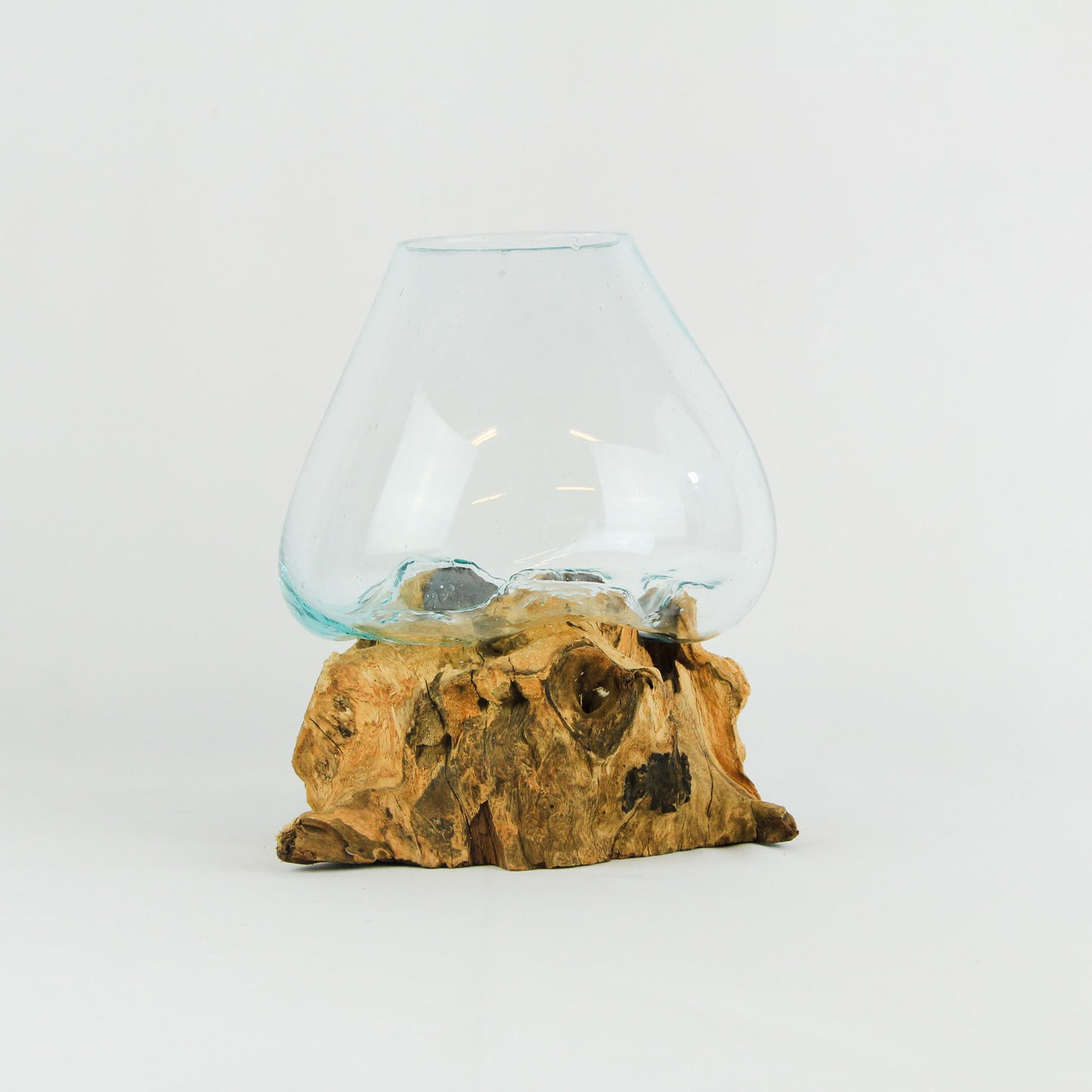 Vase glass roots en verre soufflé et racines de bois