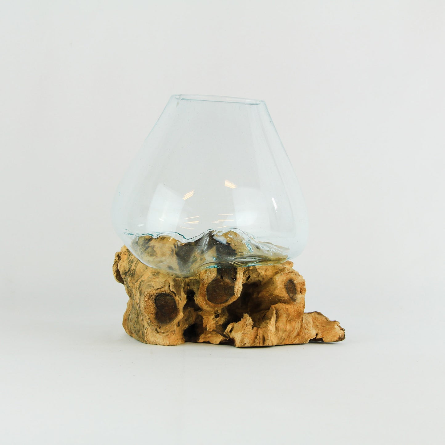 Vase glass roots en verre soufflé et racines de bois