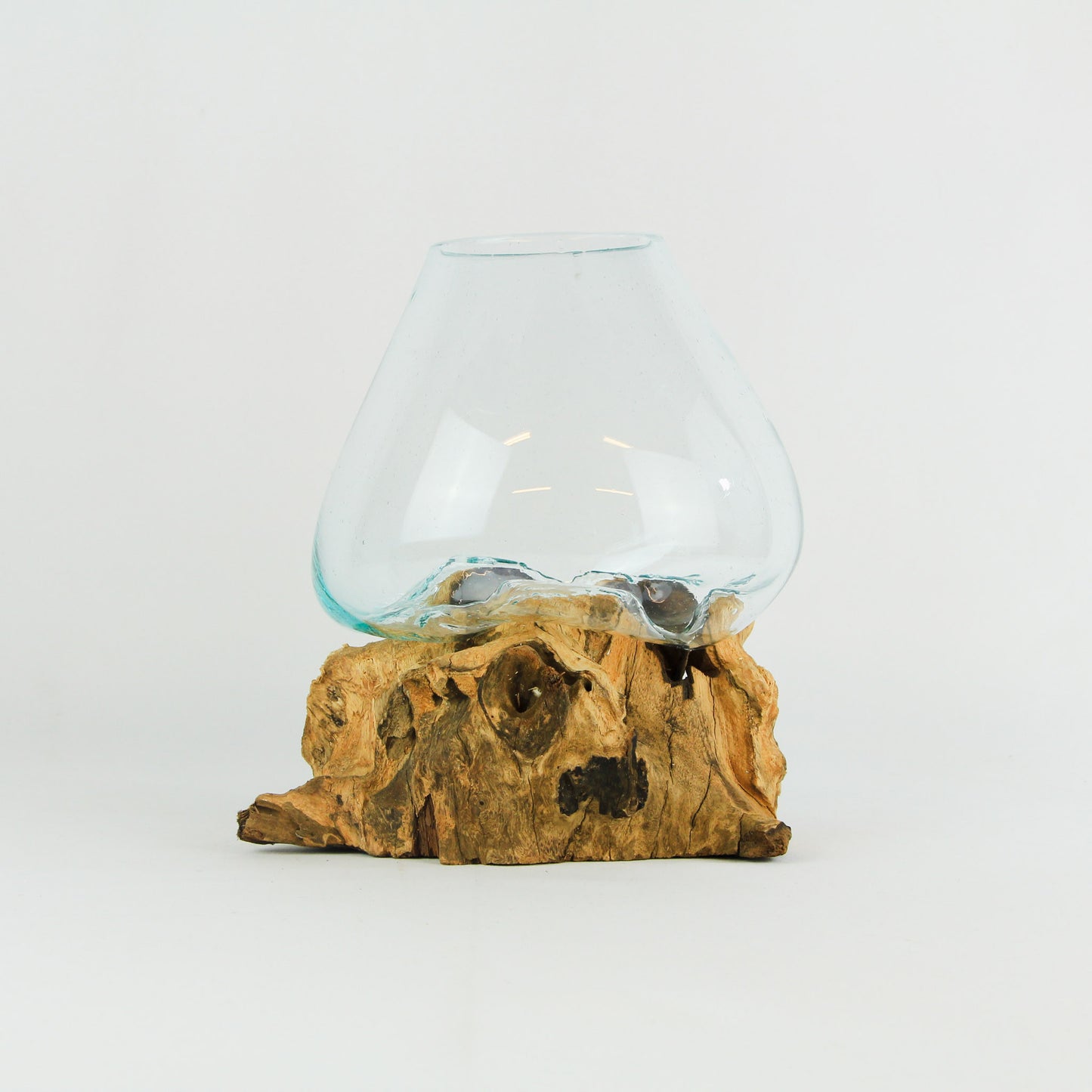 Vase glass roots en verre soufflé et racines de bois