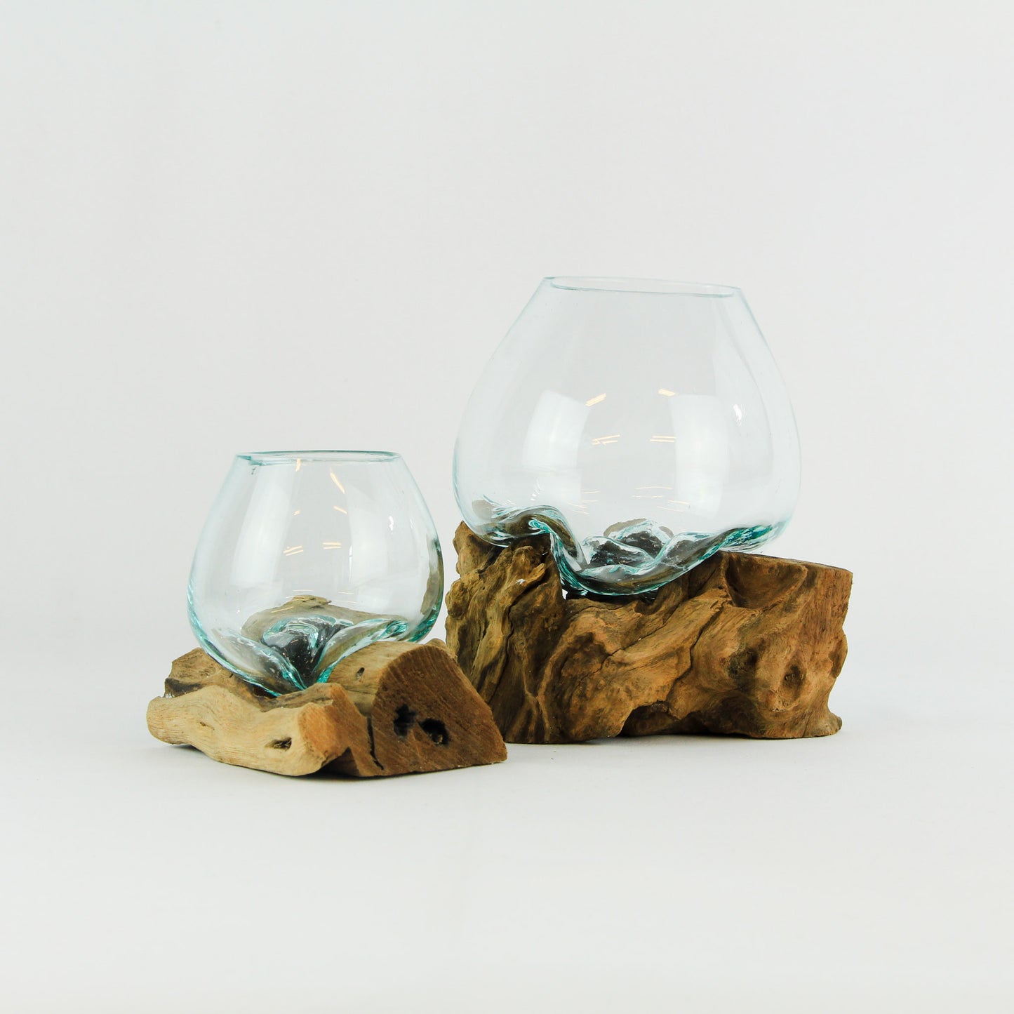 Vase glass roots en verre soufflé et racines de bois