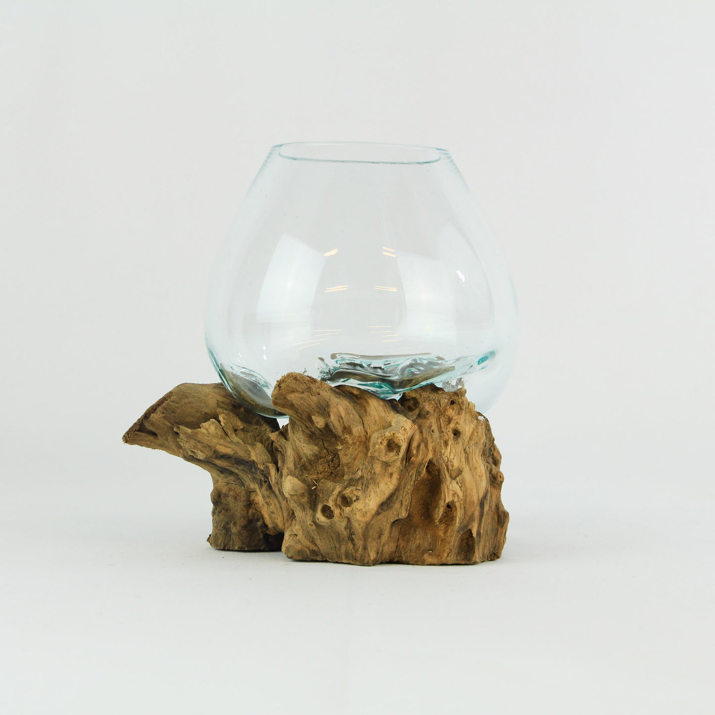 Vase glass roots en verre soufflé et racines de bois