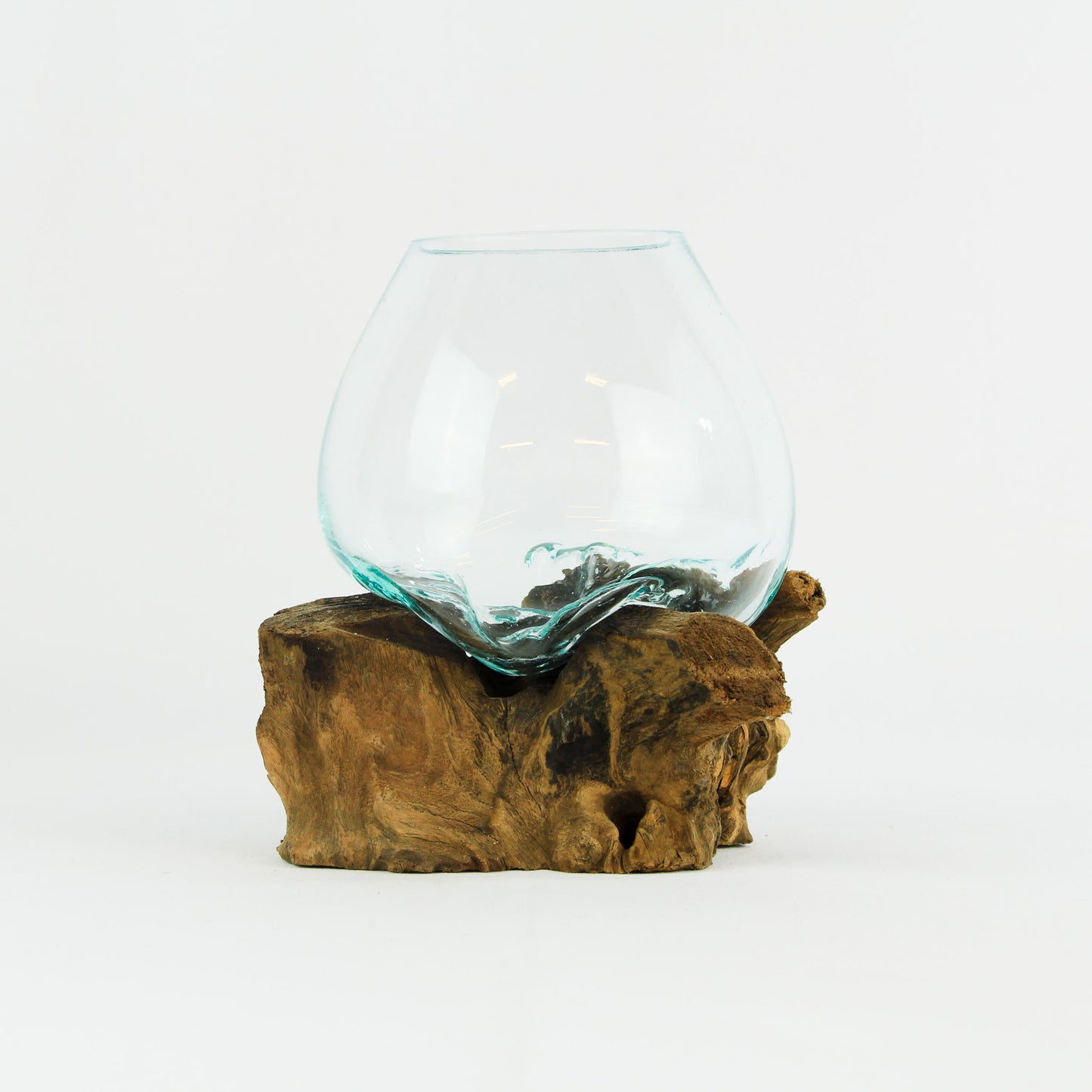 Vase glass roots en verre soufflé et racines de bois