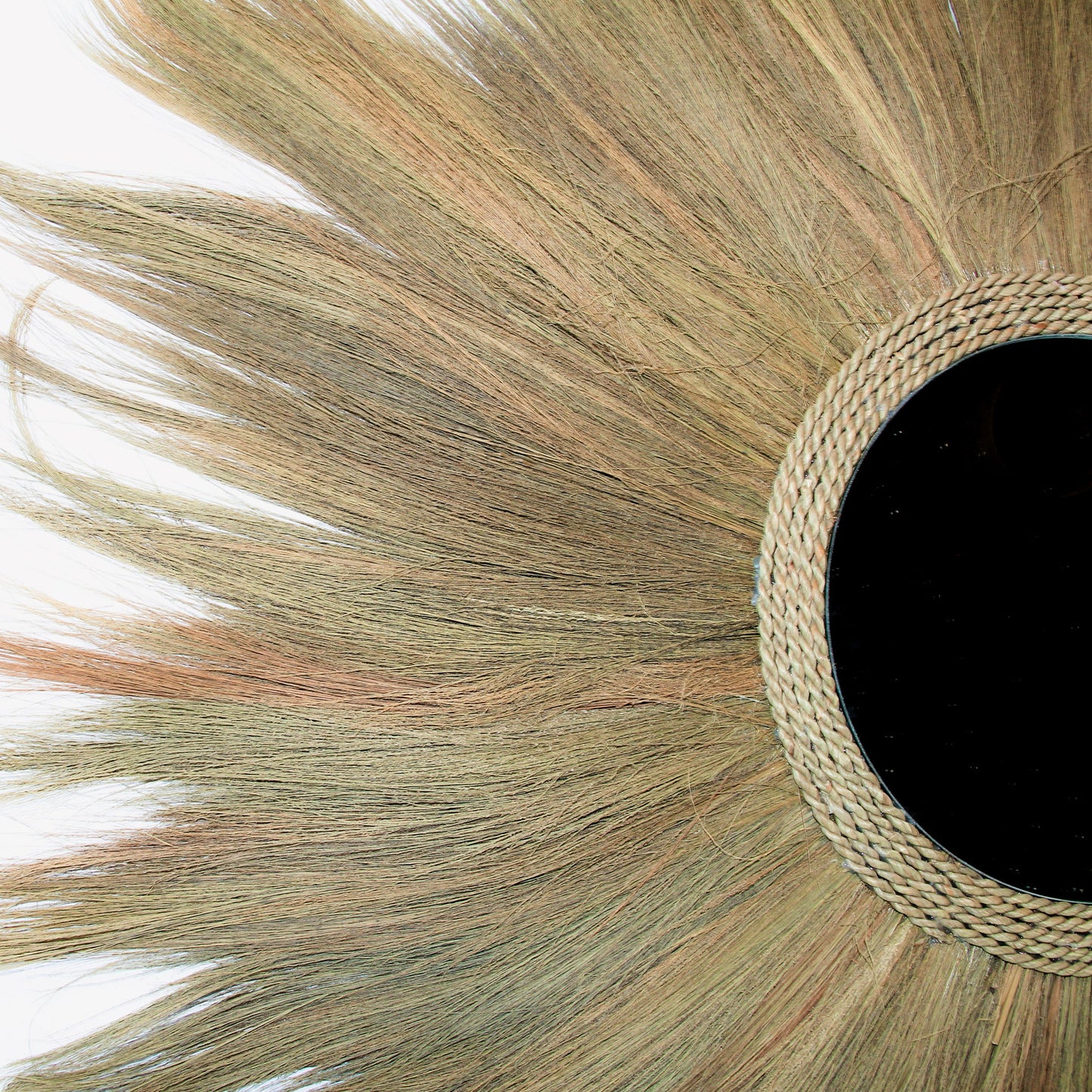 Miroir Herbier (pampas)