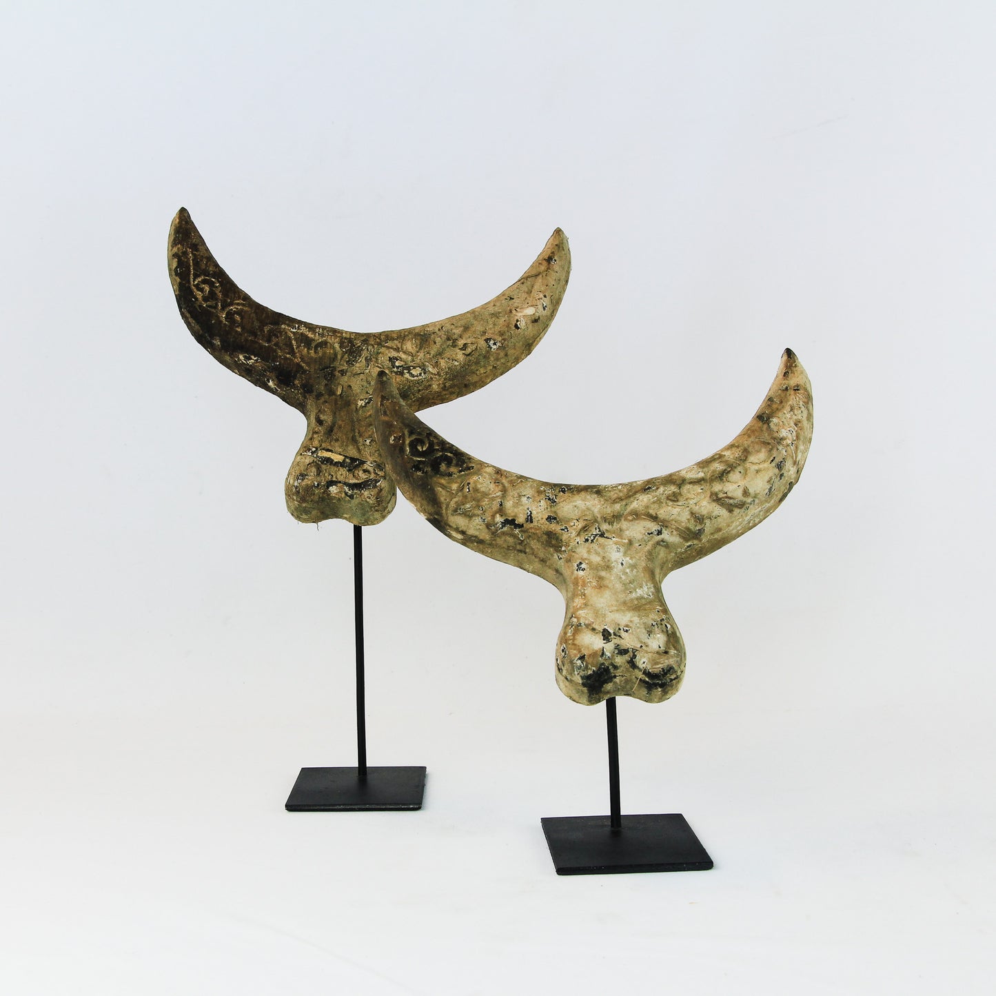 Sculpture en bois : Tête de Buffalo sur socle