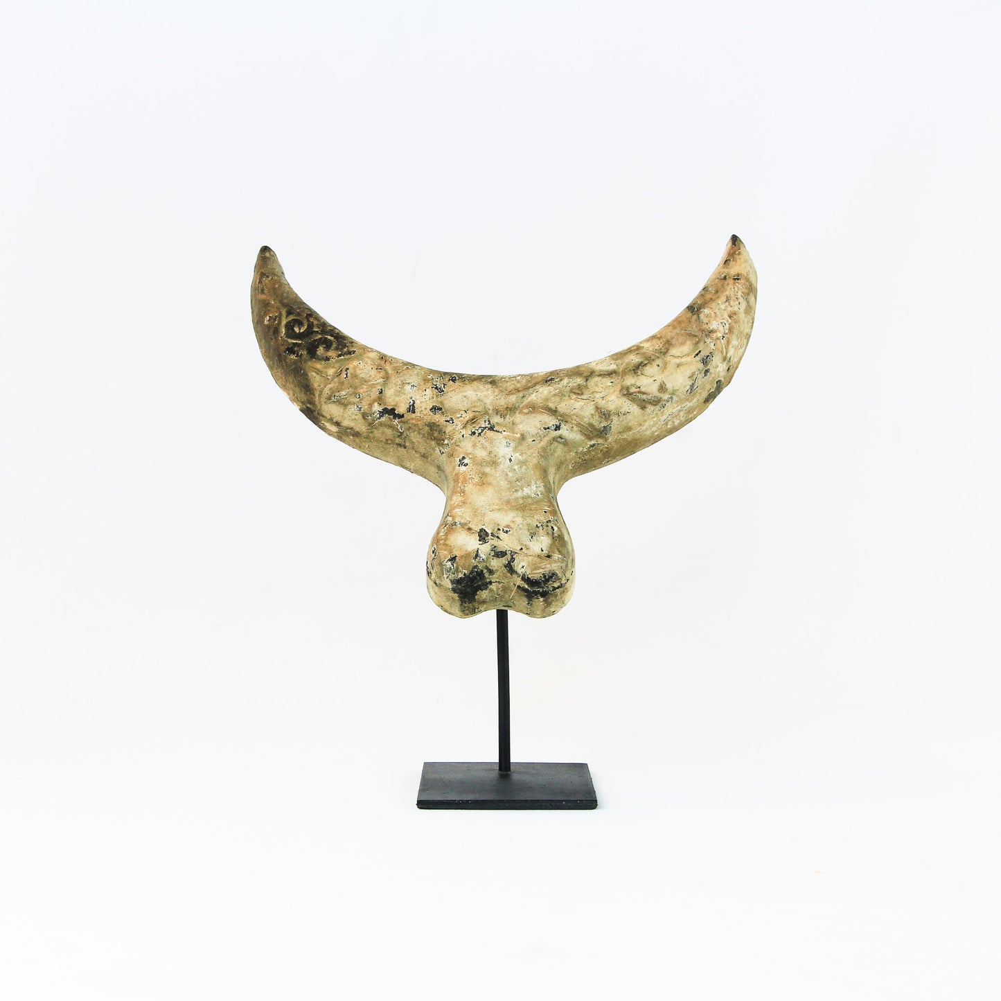 Sculpture en bois : Tête de Buffalo sur socle