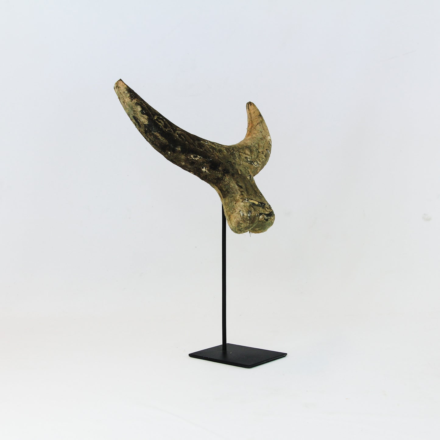 Sculpture en bois : Tête de Buffalo sur socle