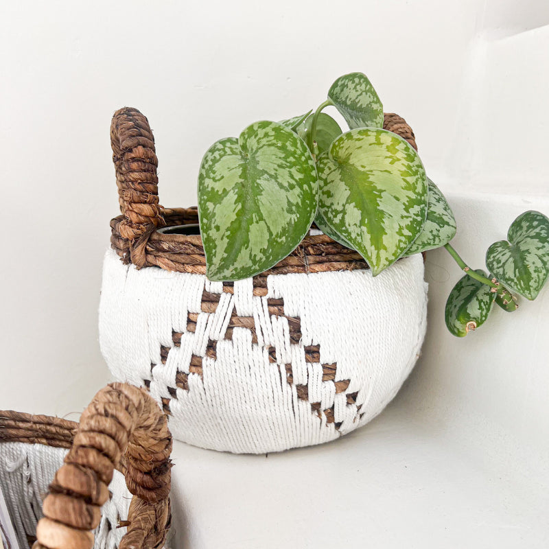 Panier Putih en fibre de banane naturelle et macramé