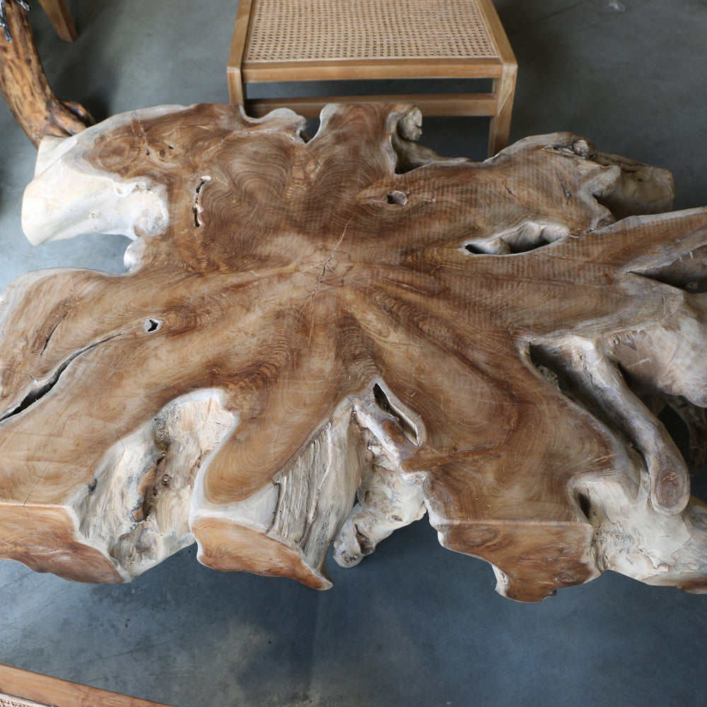 Table basse en racines de teck - ref 1155