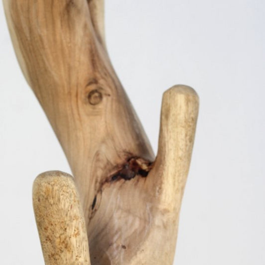 Arbre porte-manteaux en bois de Suar