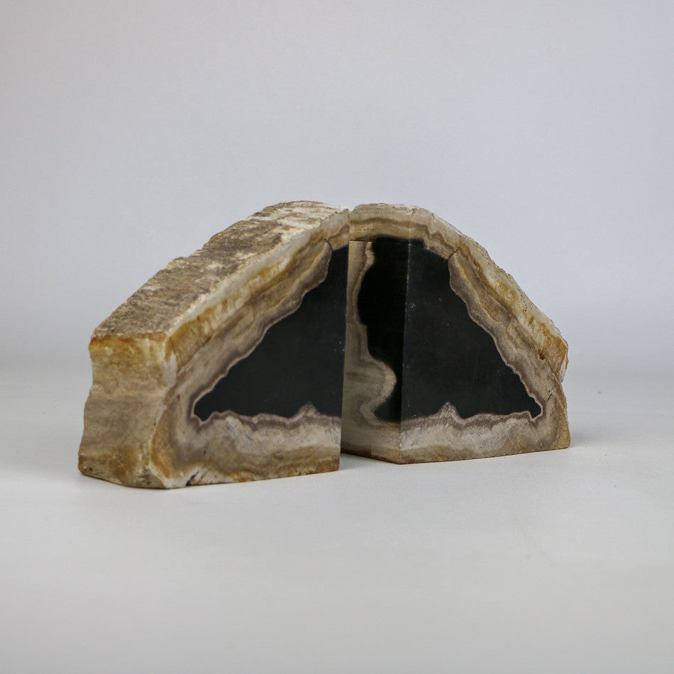 Serre-livres en bois fossilisé 4kg