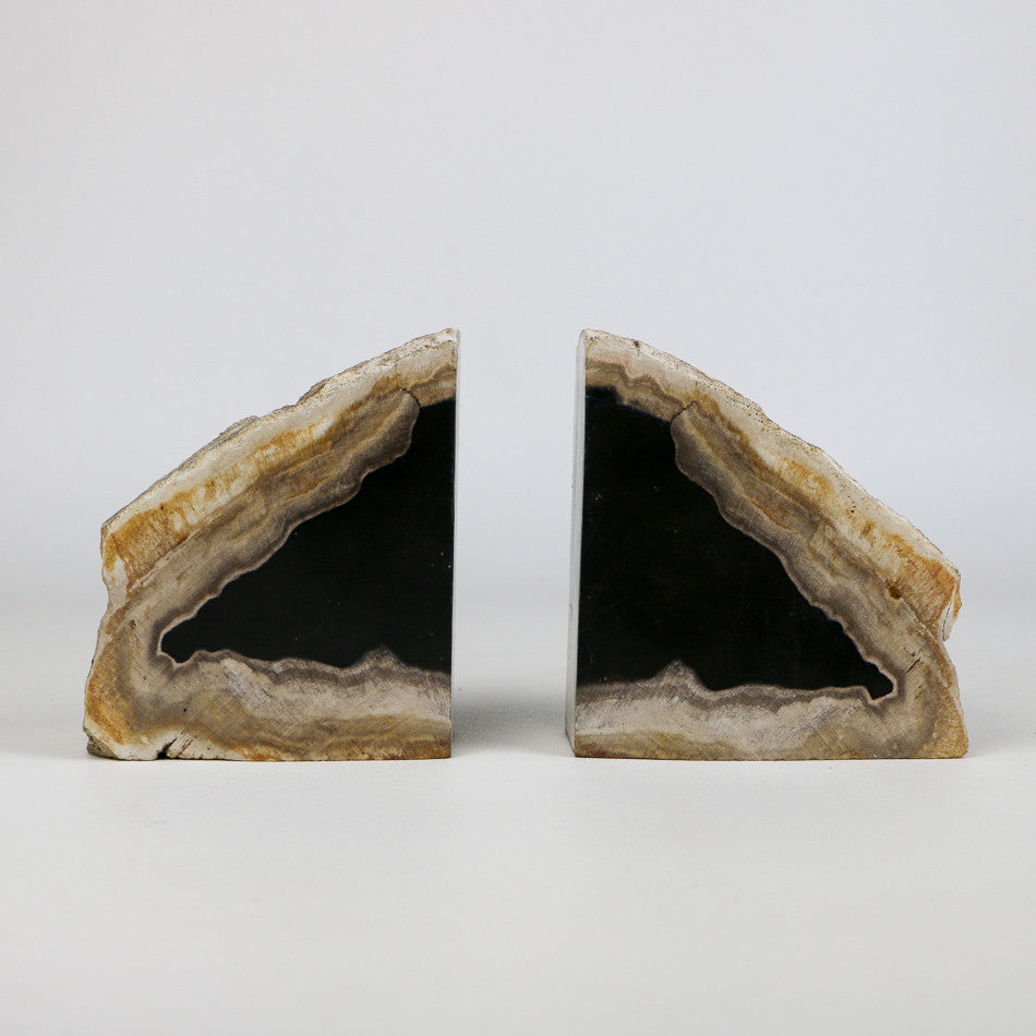 Serre-livres en bois fossilisé 4kg