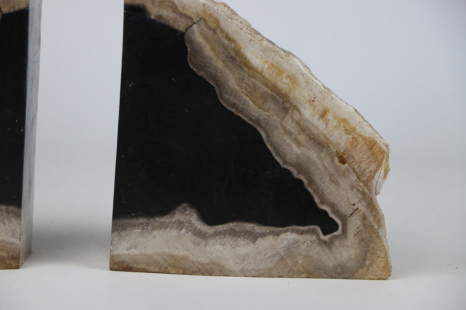 Serre-livres en bois fossilisé 4kg