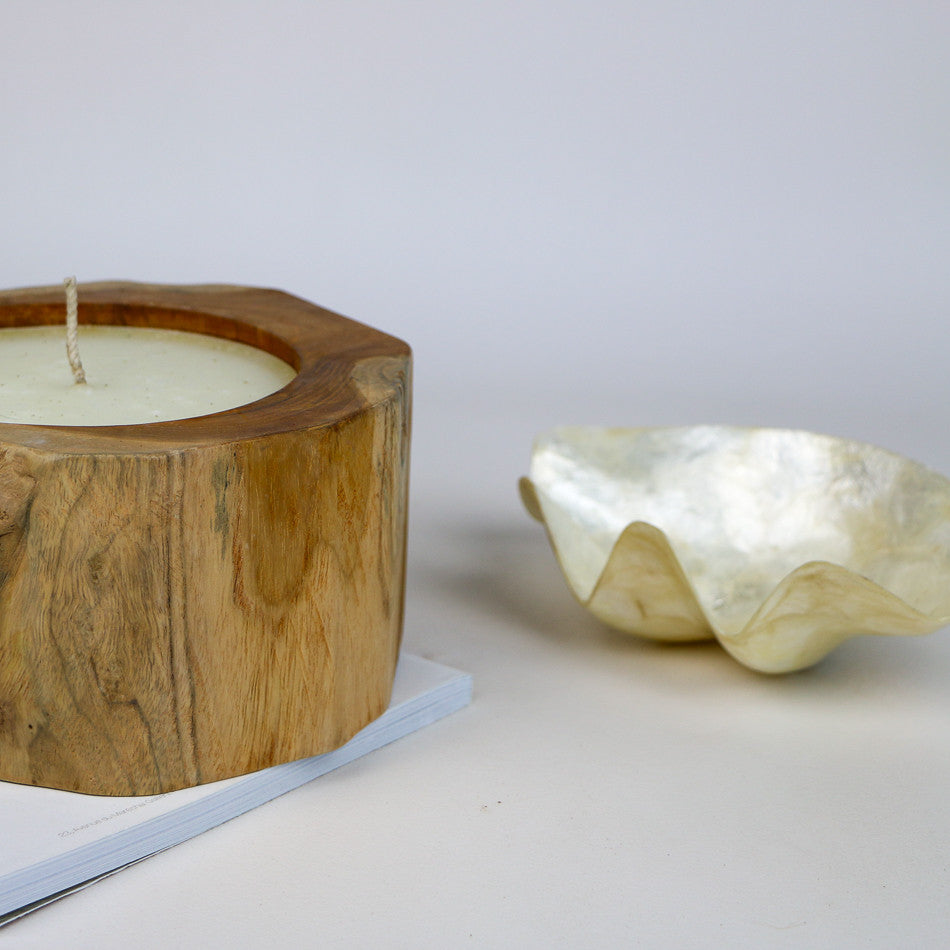 Vide-poches Coquillage