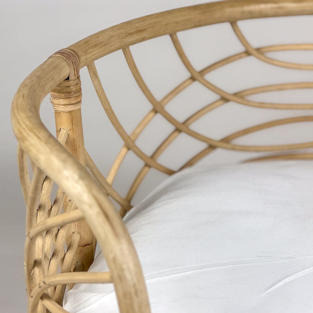 Panier en rotin pour chien