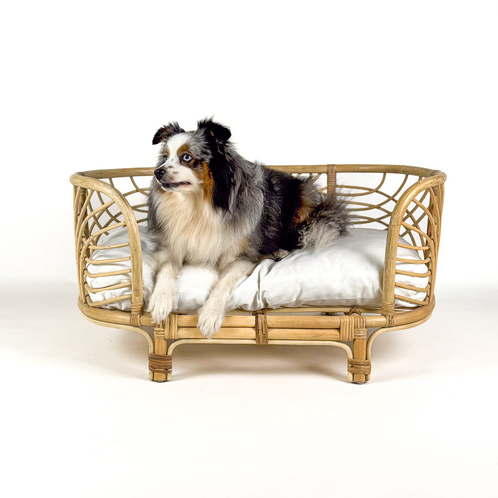 Panier en rotin pour chien