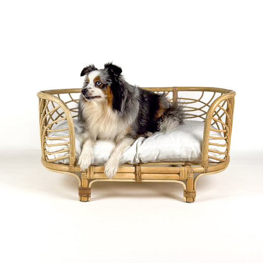 Panier en rotin pour chien