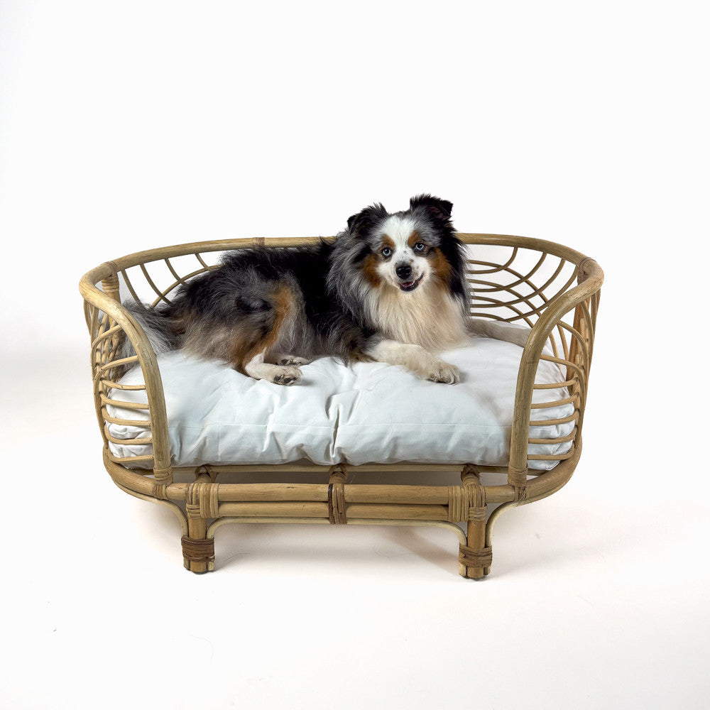 Panier en rotin pour chien