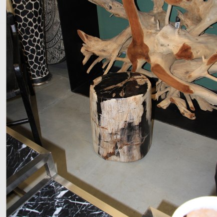 Stool en bois fossilisé 54 kgs
