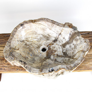Vasque en bois fossilisé 46kg
