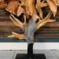 Sculpture racines de teck sur socle (220*150*55 cm)