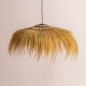Suspension Rayung en herbier marin Suspension Rayung en herbier marin