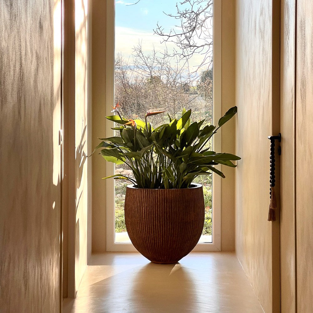 Cache Pot en bois de cocotier strié - 60 cm