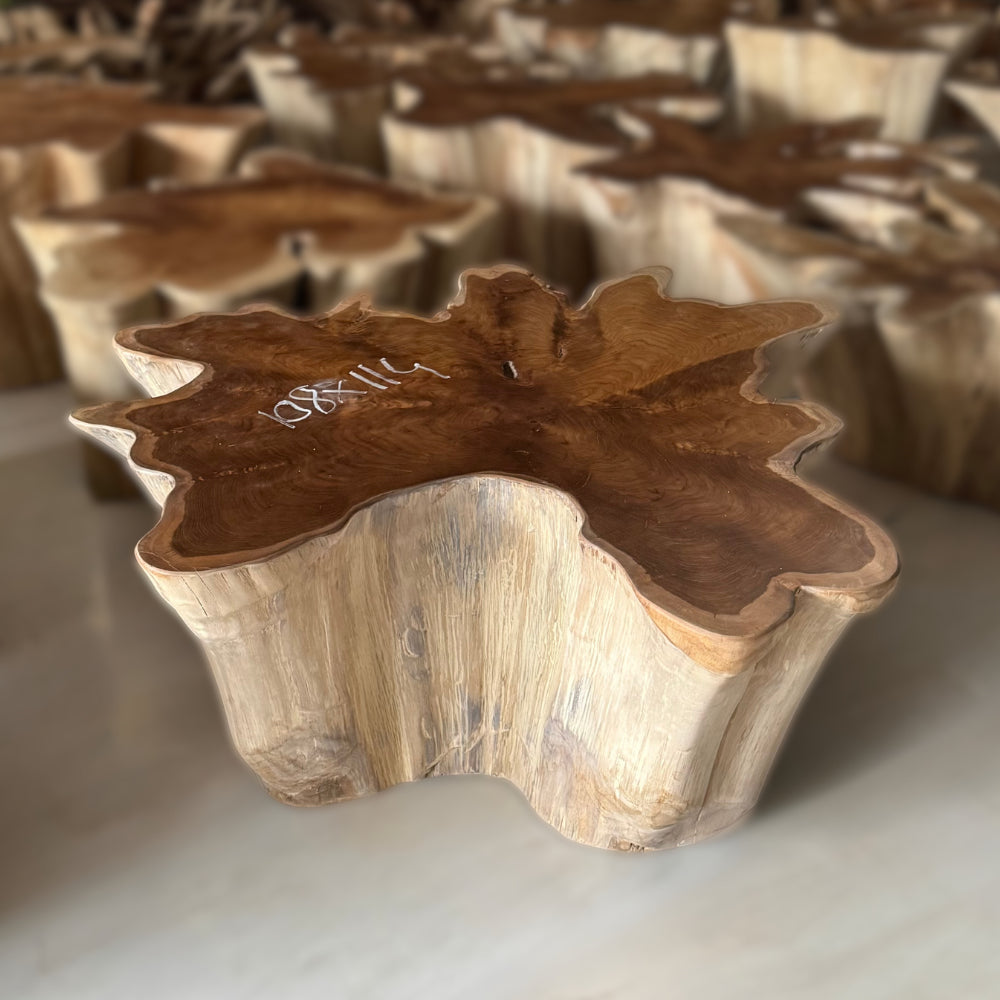 Table basse racine étoile 108 x 114 cm