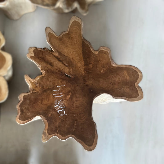 Table basse racine étoile 108 x 114 cm