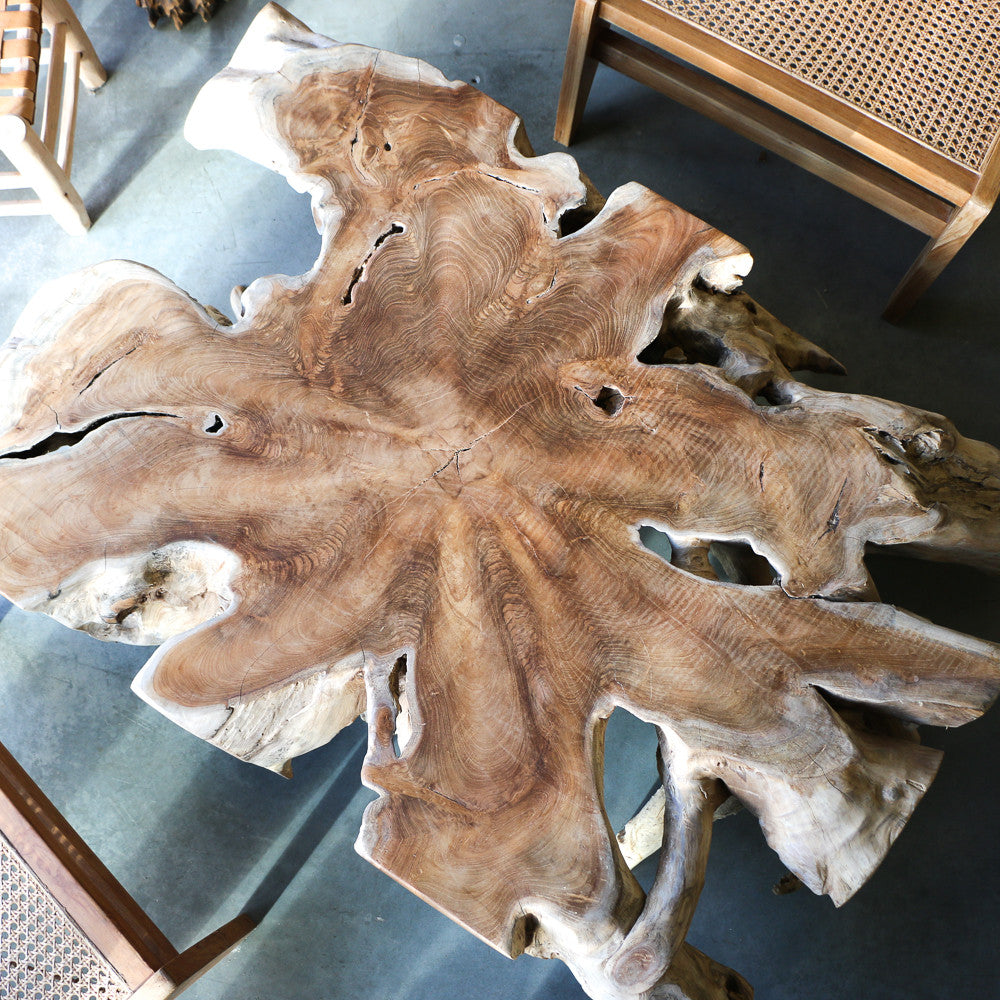 Table basse en racines de teck - ref 1155