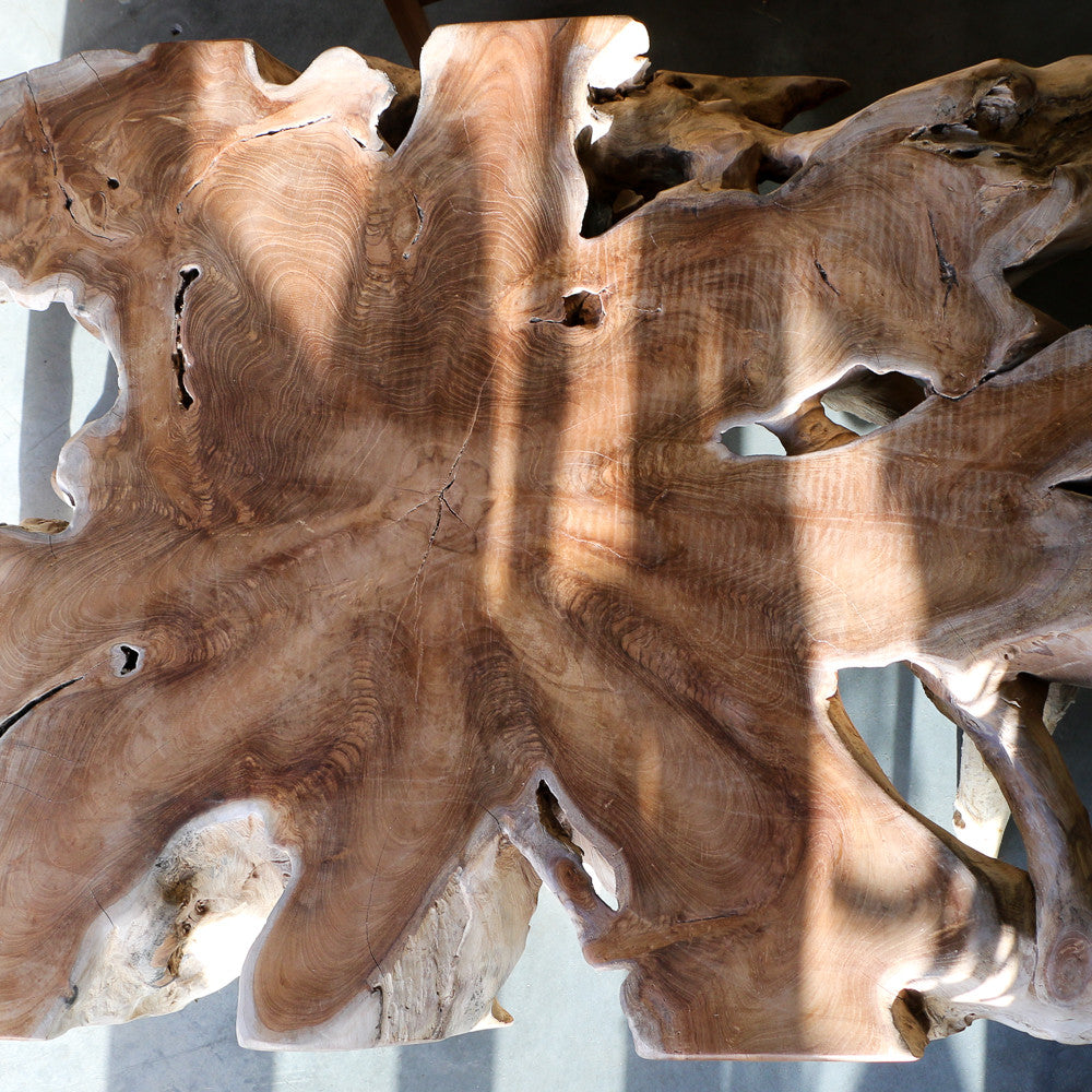 Table basse en racines de teck - ref 1155