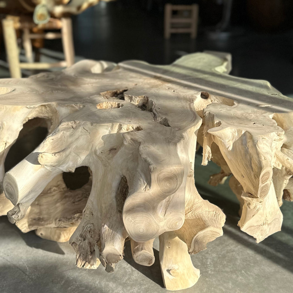 Table basse en racines de teck - ref 1157