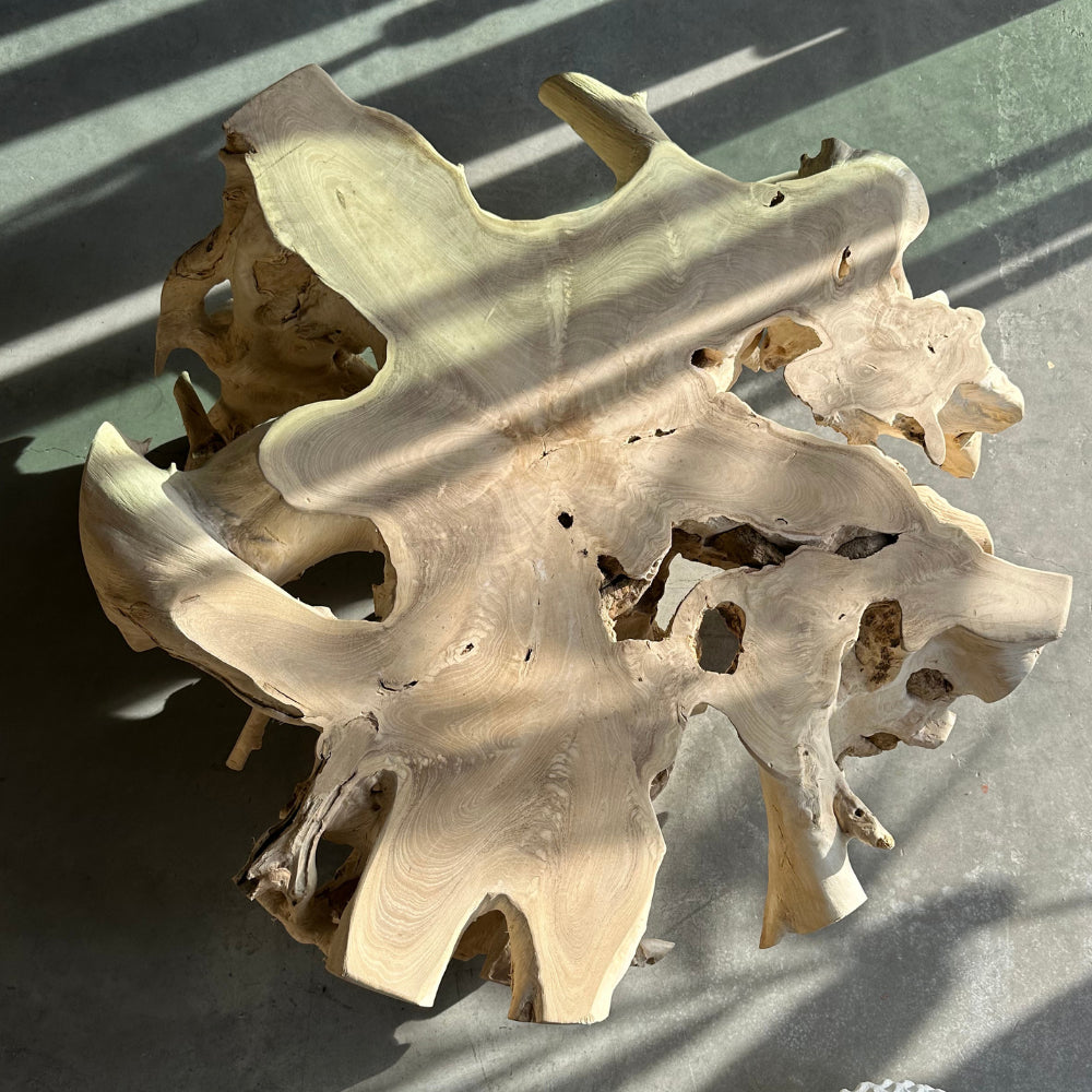 Table basse en racines de teck - ref 1157