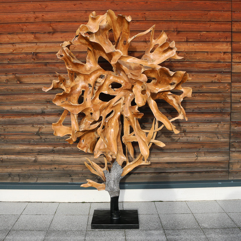 Sculpture racines de teck sur socle (220*150*55 cm)