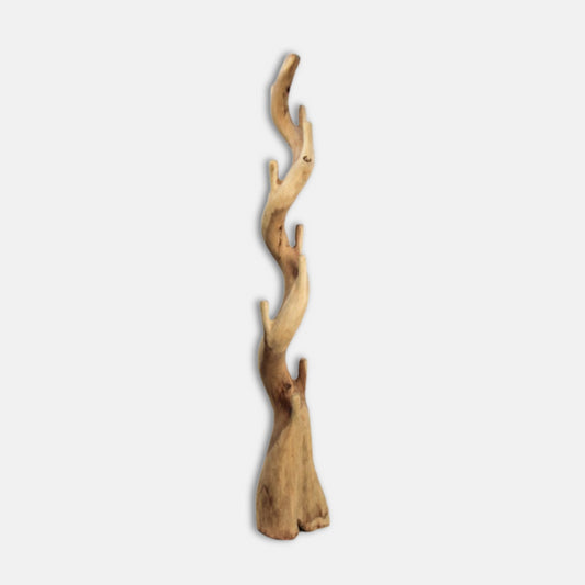 Arbre porte-manteaux en bois de Suar
