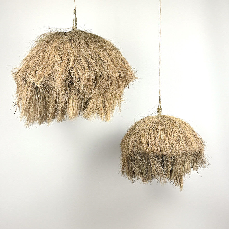 Suspension Mentari en herbier marin