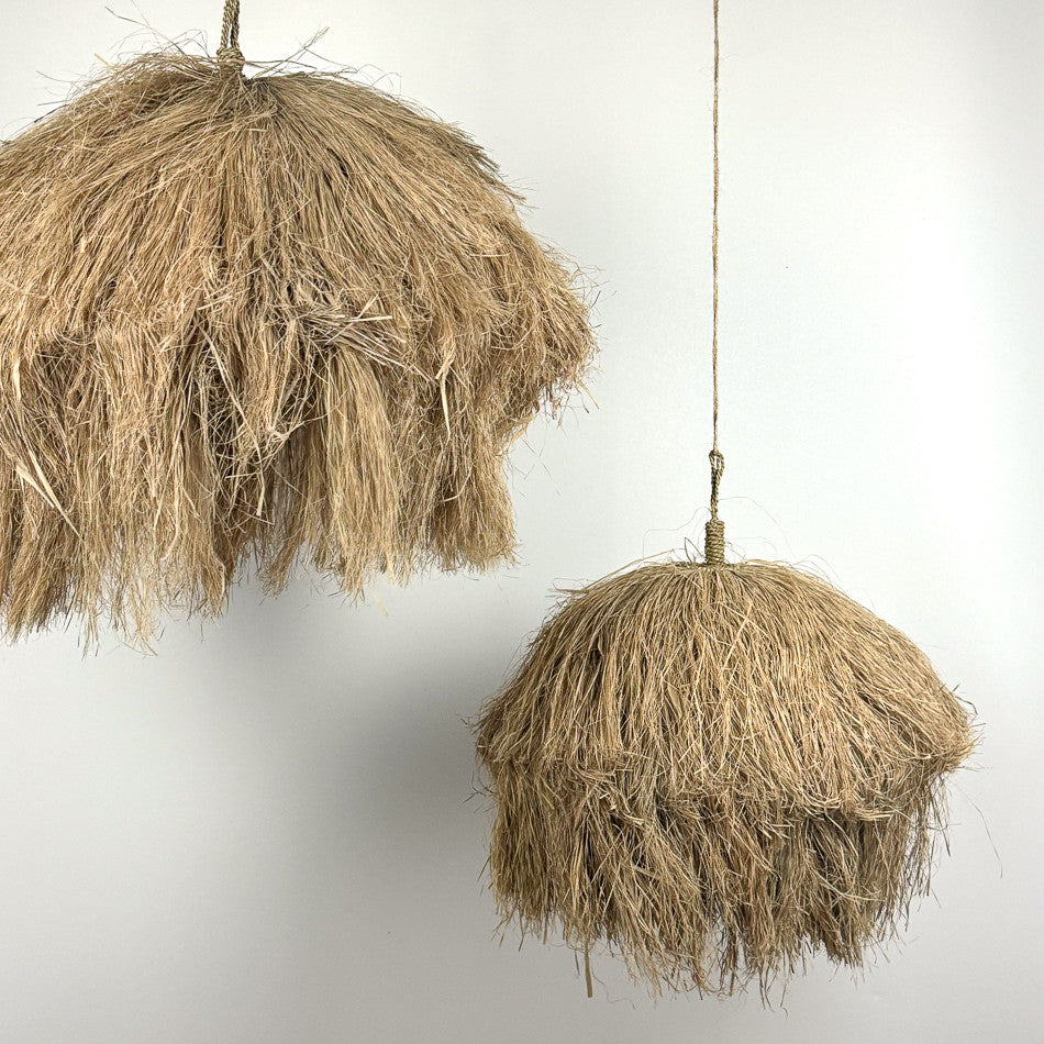 Suspension Mentari en herbier marin