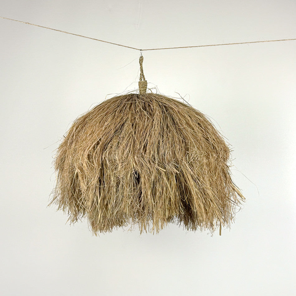 Suspension Mentari en herbier marin